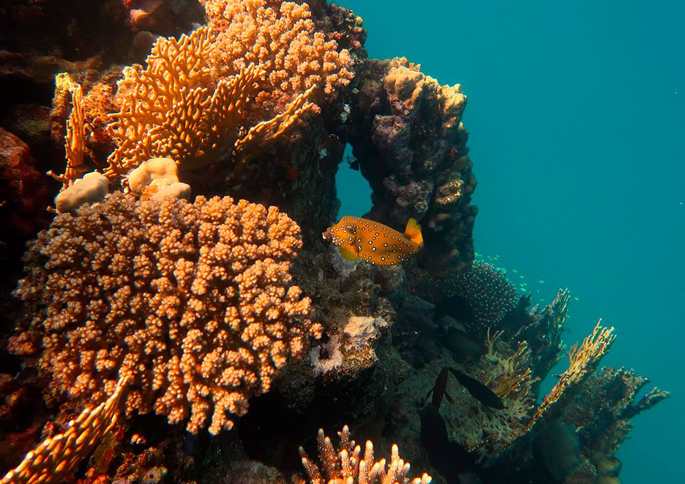 Tauchschule-Kroll_Bilder-21