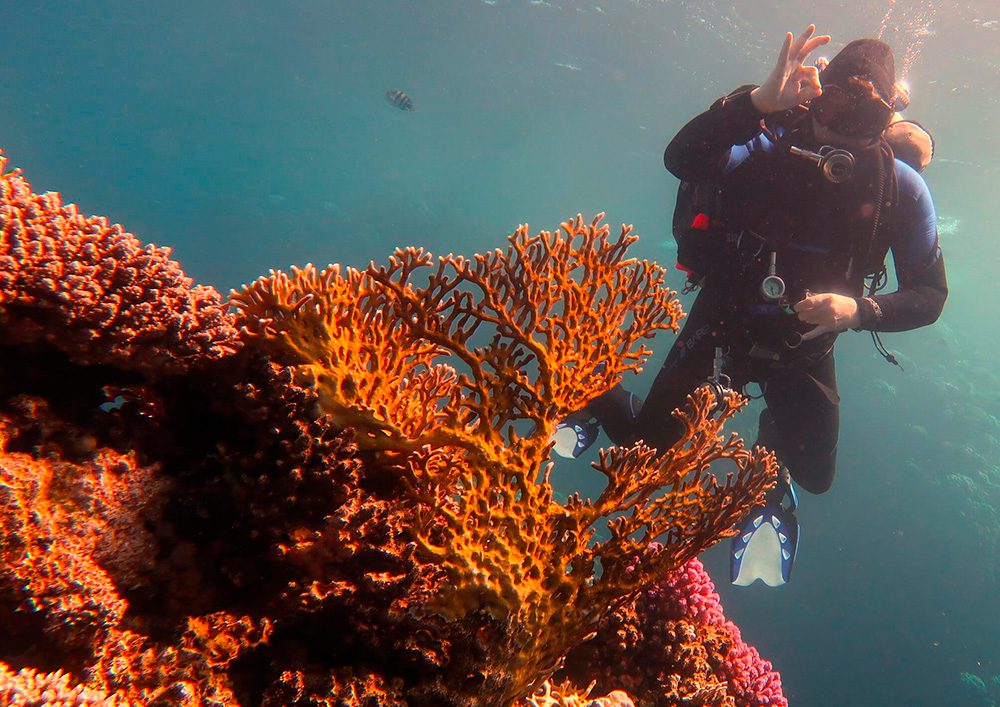 Tauchschule-Kroll_Bilder-22