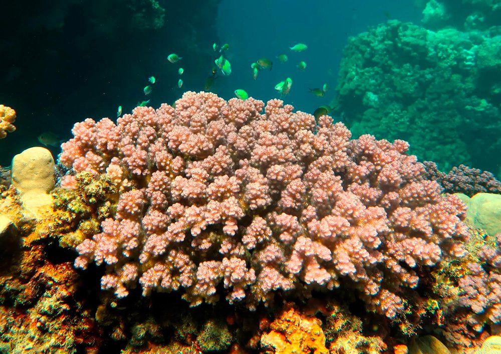 Tauchschule-Kroll_Bilder-23