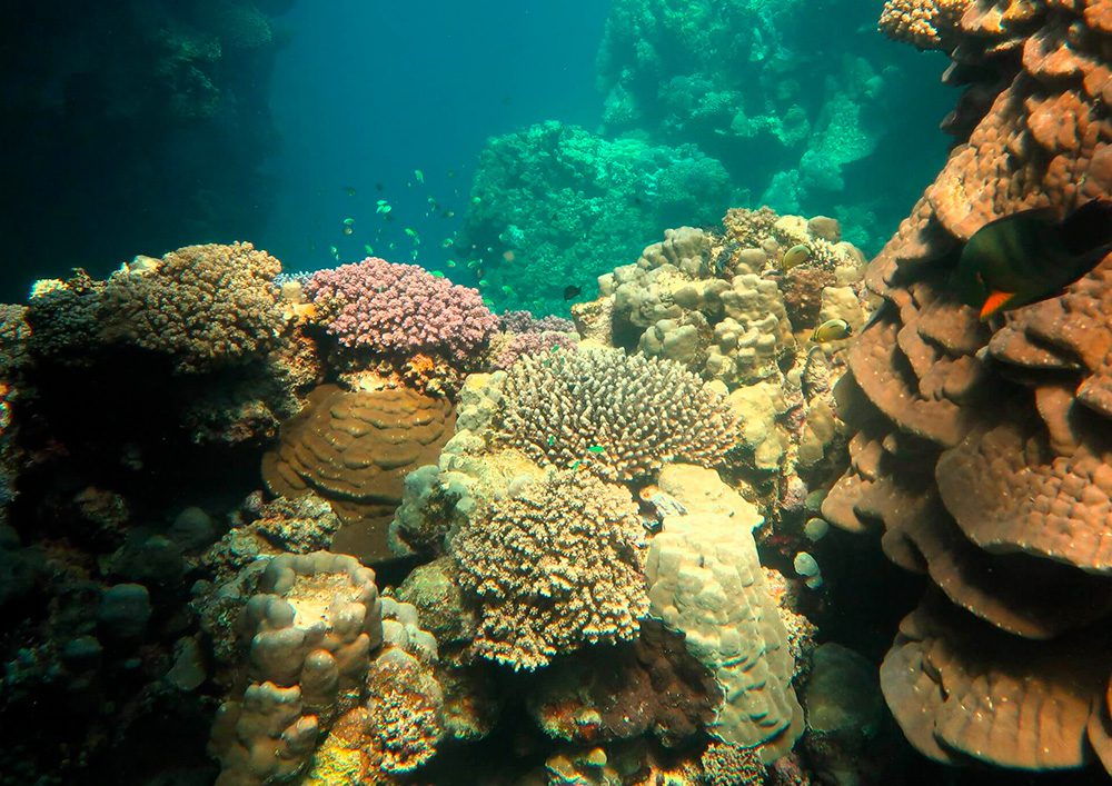 Tauchschule-Kroll_Bilder-24