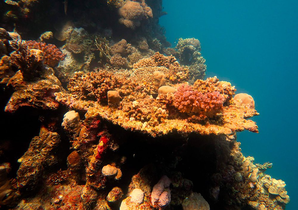 Tauchschule-Kroll_Bilder-25