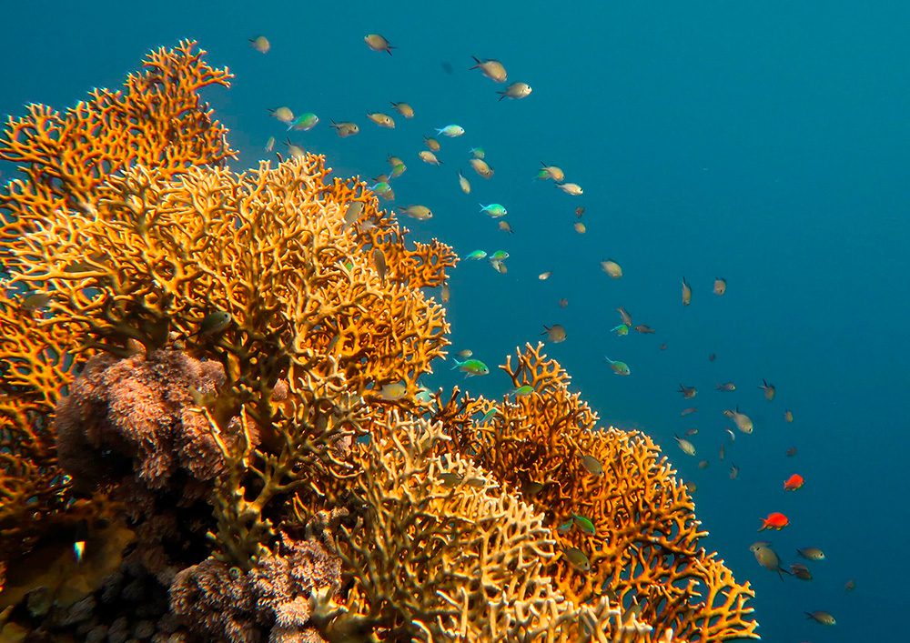 Tauchschule-Kroll_Bilder-26