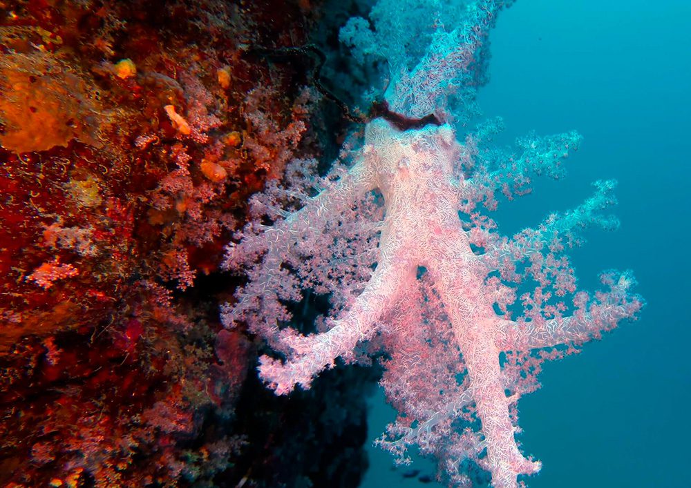 Tauchschule-Kroll_Bilder-27