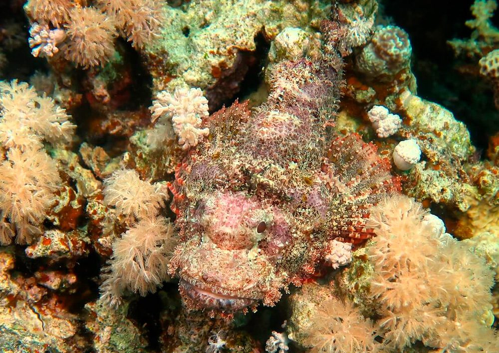 Tauchschule-Kroll_Bilder-29