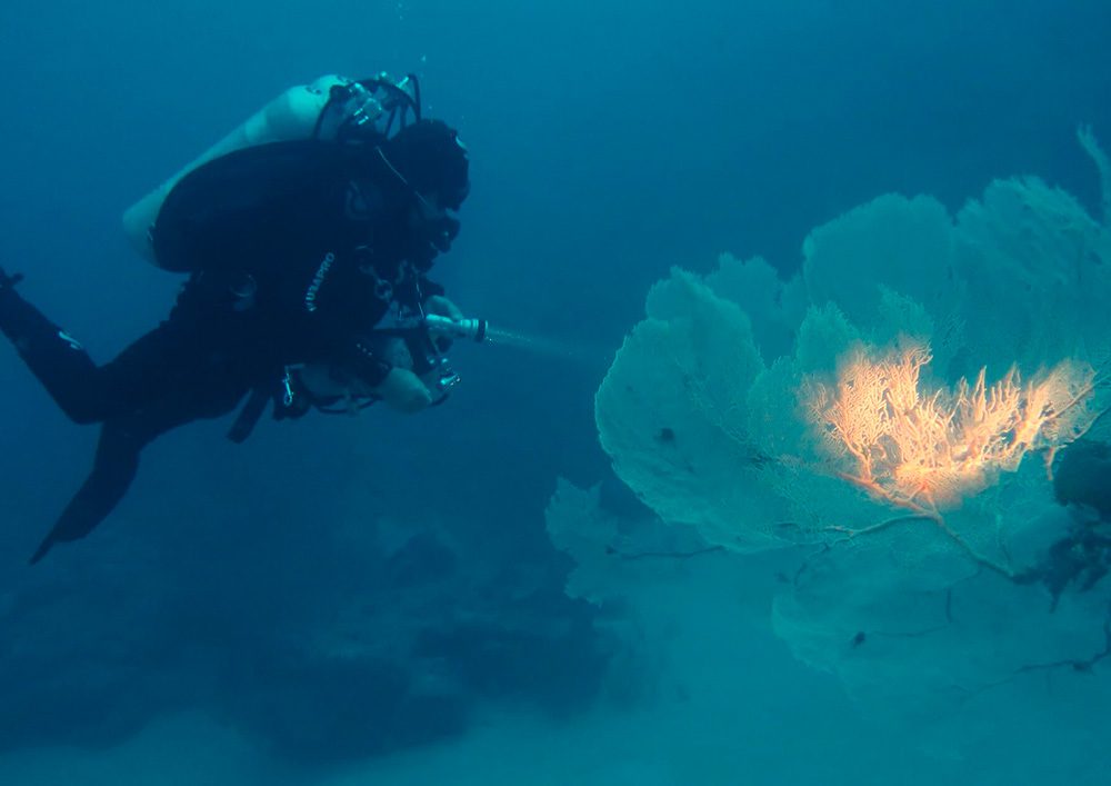 Tauchschule-Kroll_Bilder-31