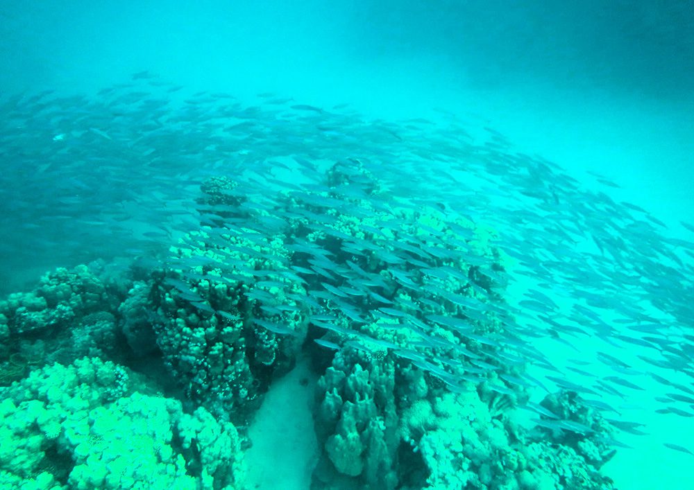 Tauchschule-Kroll_Bilder-33