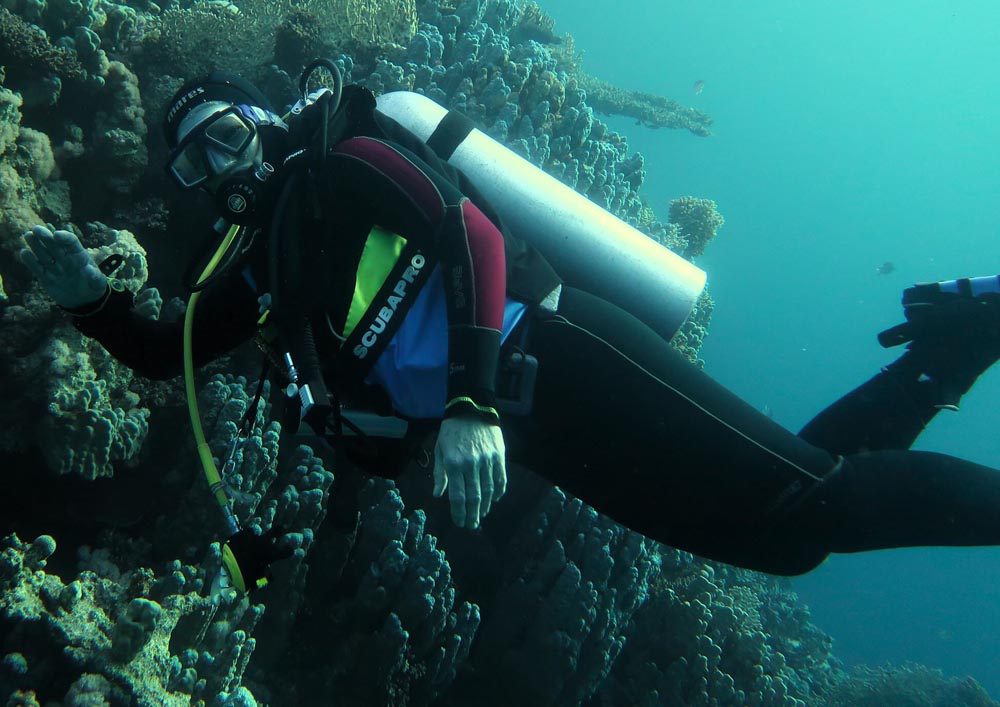 Tauchschule-Kroll_Bilder-38