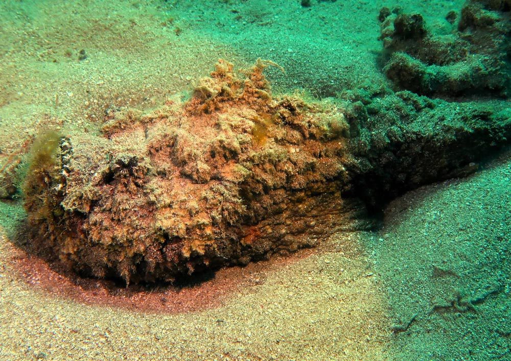 Tauchschule-Kroll_Bilder-39