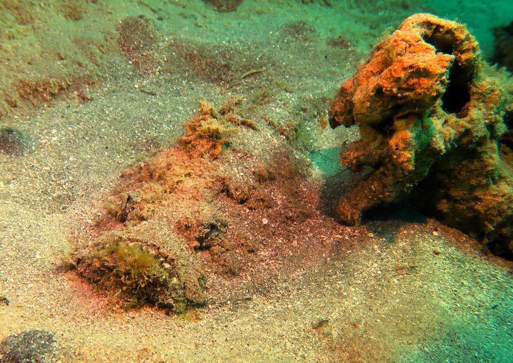 Tauchschule-Kroll_Bilder-42