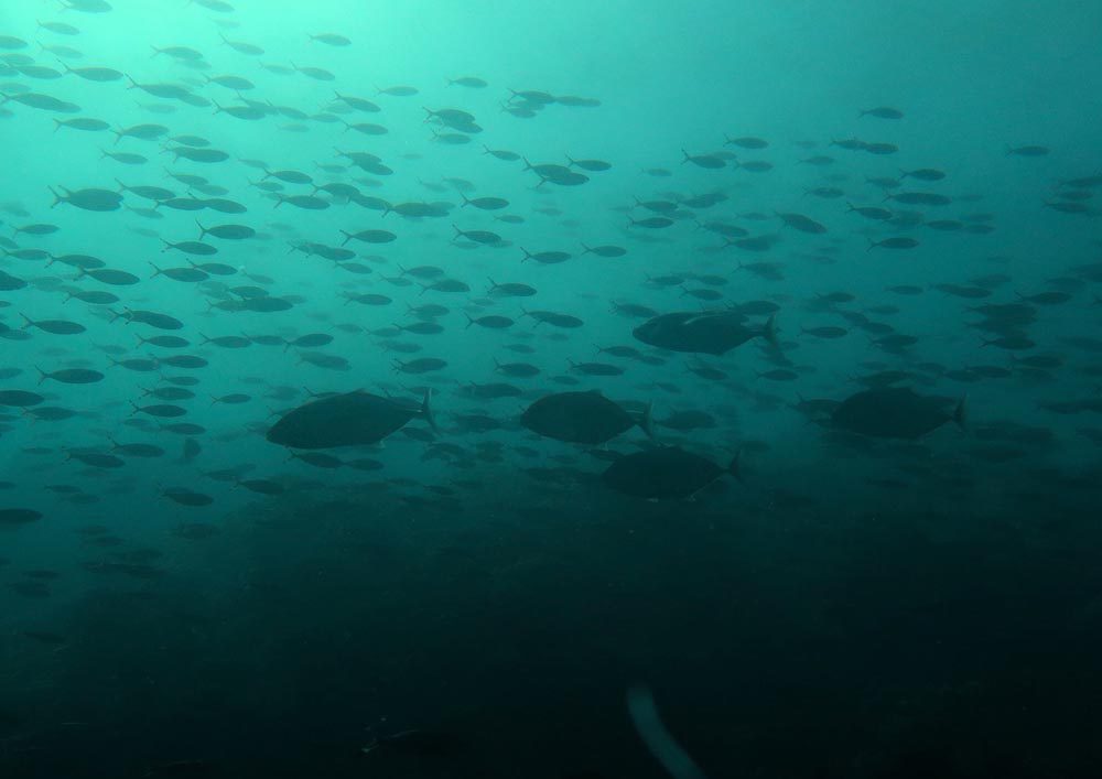 Tauchschule-Kroll_Bilder-44