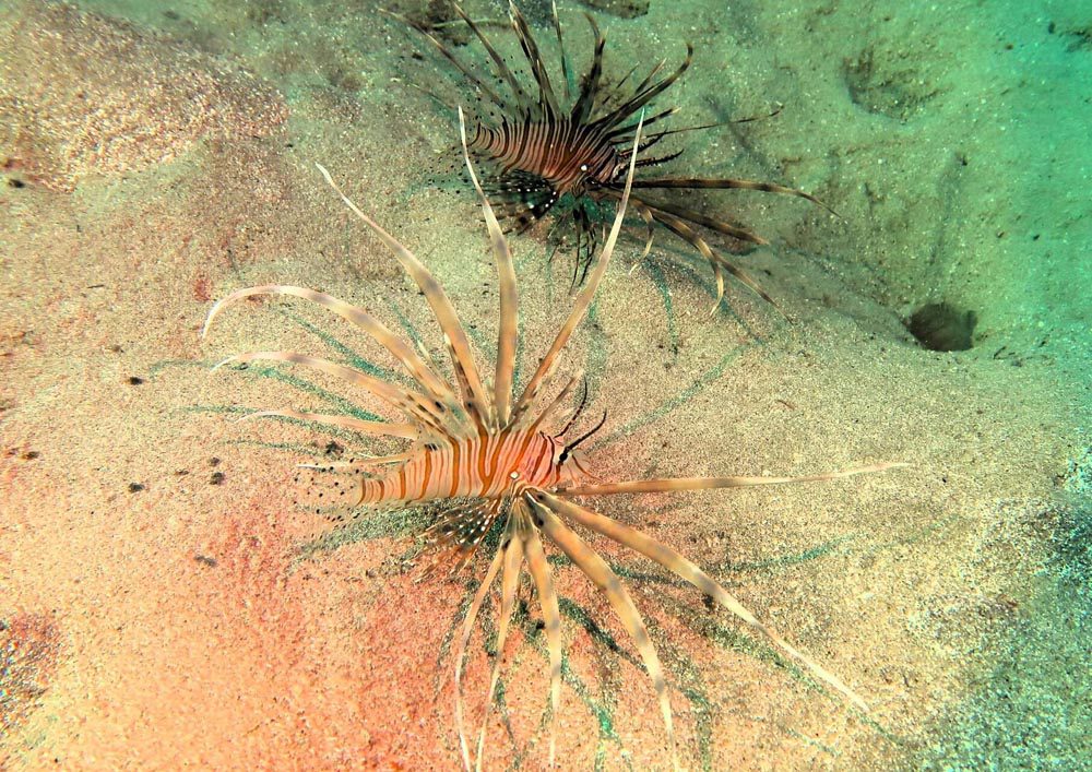 Tauchschule-Kroll_Bilder-45