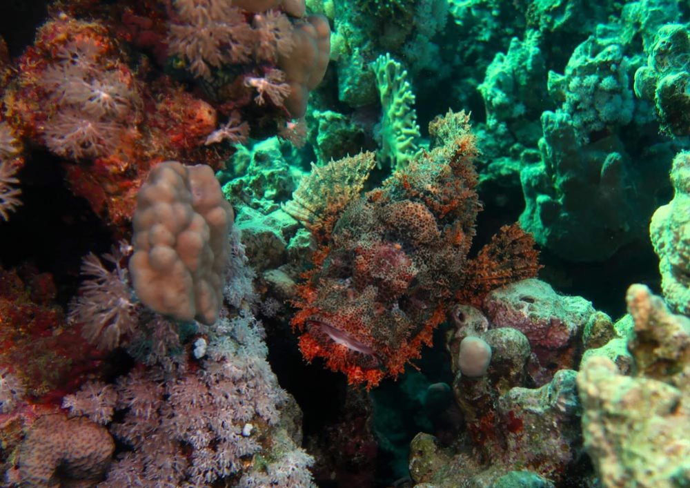 Tauchschule-Kroll_Bilder-51