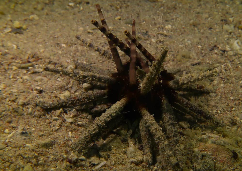 Tauchschule-Kroll_Bilder-52