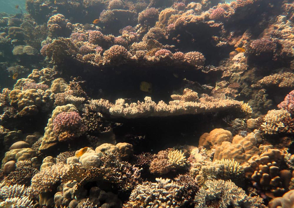 Tauchschule-Kroll_Bilder-53