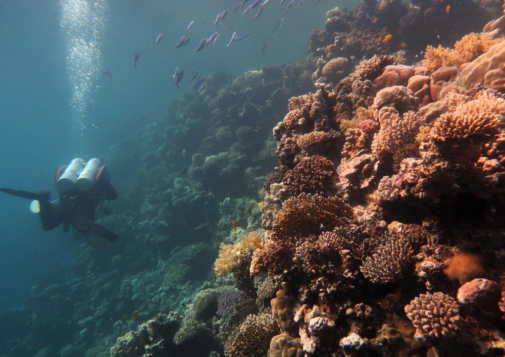 Tauchschule-Kroll_Bilder-54